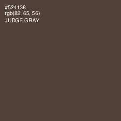#524138 - Judge Gray Color Image